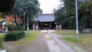 田島氷川神社の参拝記録(とらむぎさん)