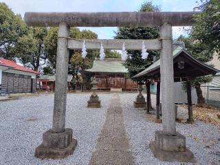 神明社（南区根岸）の参拝記録(ロビンさん)