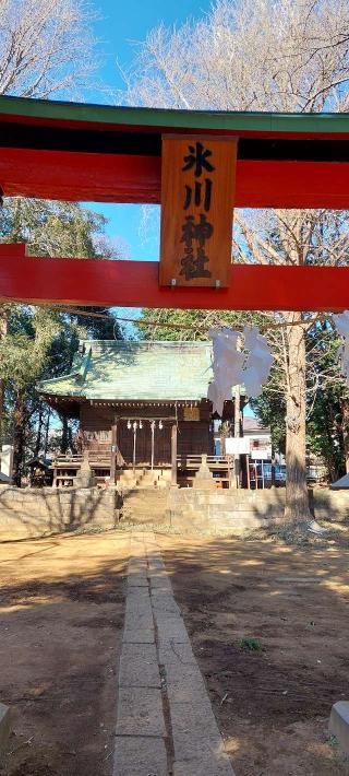 太田窪氷川神社の参拝記録(まーぼーさん)