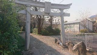 氷川神社(上野田)の参拝記録(ロビンさん)