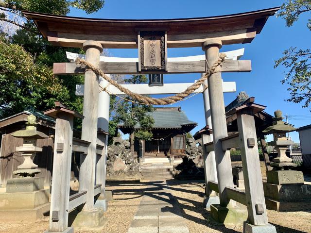 埼玉県川口市新井宿155 子日神社の写真1