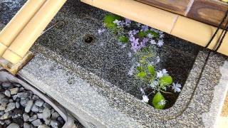 七郷神社の参拝記録(げんさん)