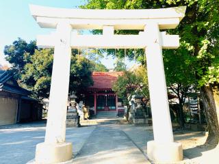 飯塚氷川神社の参拝記録(shikigami_hさん)