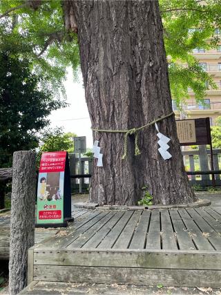 朝日氷川神社の参拝記録(ギャズさん)