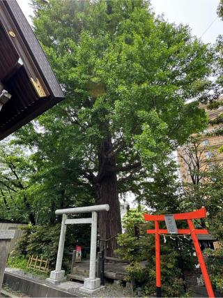 朝日氷川神社の参拝記録(としくんさん)