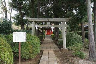 安行氷川神社の参拝記録(thonglor17さん)