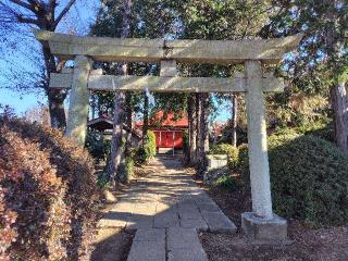 安行氷川神社の参拝記録(ロビンさん)