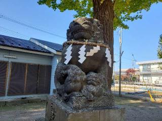 三ツ和氷川神社の参拝記録(飛成さん)