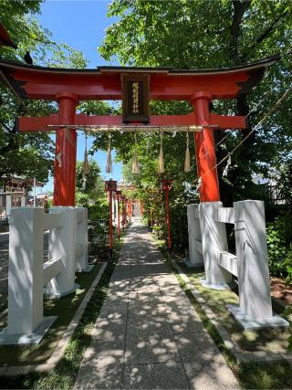 塚越稲荷神社の参拝記録(こーちんさん)