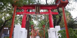 塚越稲荷神社の参拝記録(しろぎすさん)