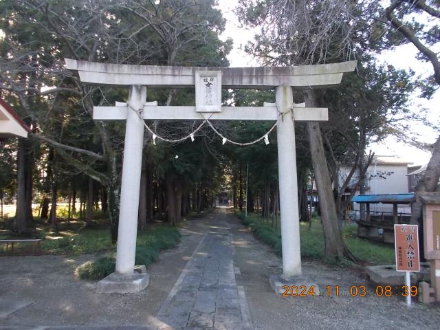 埼玉県草加市柿木町1732 女體神社(柿木町)の写真8