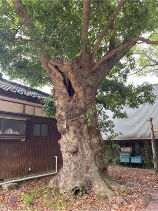 女體神社(柿木町)の参拝記録(ギャズさん)