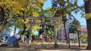 瀬崎浅間神社の参拝記録(ツナ缶さん)