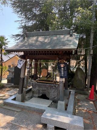 瀬崎浅間神社の参拝記録(色部優兎さん)