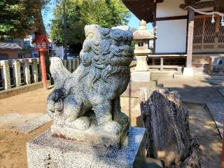 谷塚氷川神社の参拝記録(飛成さん)