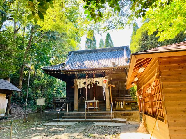 子ノ神氷川神社の参拝記録8