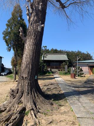 下内間木氷川神社の参拝記録(shikigami_hさん)