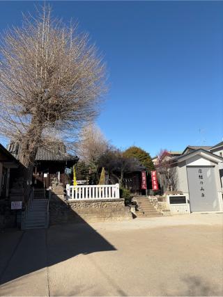 天神社の参拝記録(せきちゃんさん)