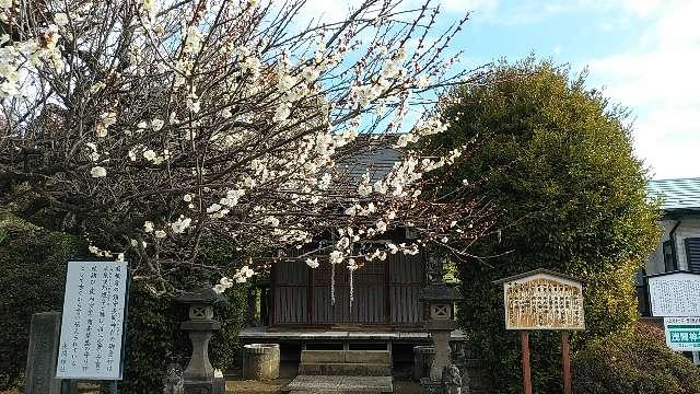 浅間神社の参拝記録(りんごぐみさん)