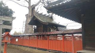 橘神社の参拝記録(ステイさん)