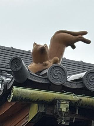 谷口稲荷神社の参拝記録(ねこチャリさん)