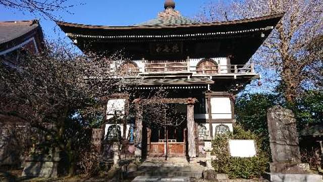 大鹿山 長禅寺の参拝記録8