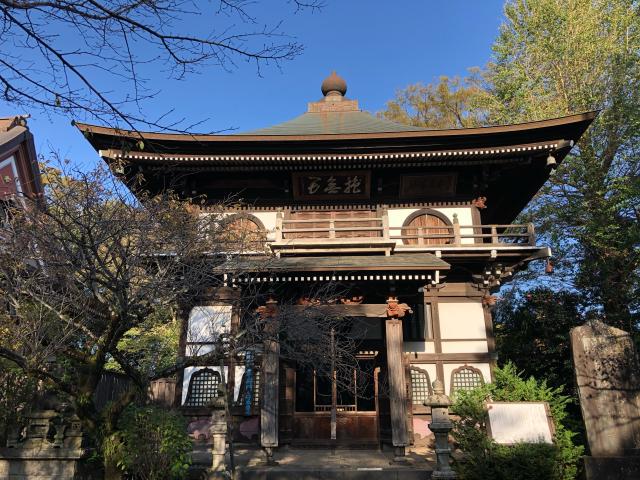 大鹿山 長禅寺の参拝記録10