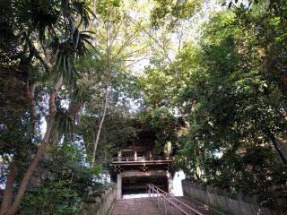 大鹿山 長禅寺の参拝記録(えのさんさん)
