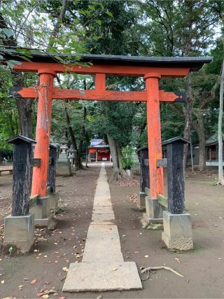 氷川神社の参拝記録(ぶーさん)