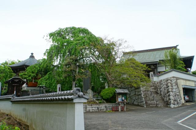 茨城県取手市小文間3911 深雪山明星院 （取手大師）の写真5