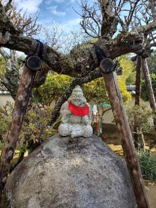 深雪山明星院 （取手大師）の参拝記録(ヨッシーさん)