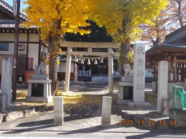埼玉県秩父市野坂町1-8-20 秋葉神社の写真3