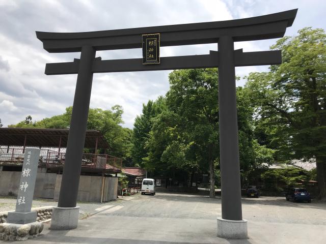 埼玉県秩父市下吉田7377 椋神社の写真2