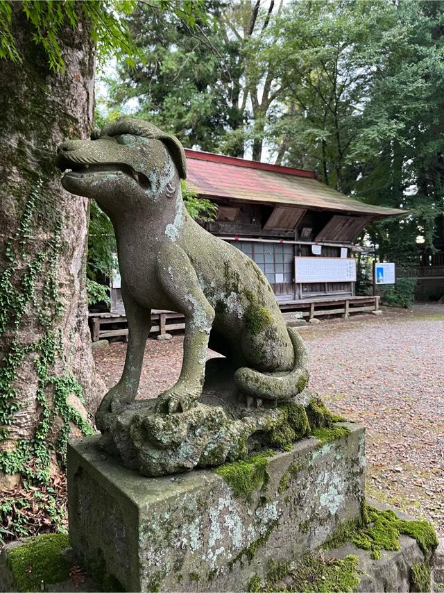 椋神社の参拝記録7