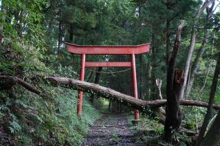 大山祇大神社の参拝記録(thonglor17さん)