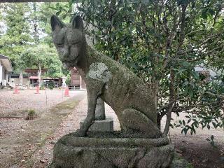 椋神社の参拝記録(さとみさん)