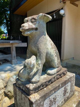 武野上神社の参拝記録(ビビさん)