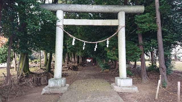 埼玉県北足立郡伊奈町本町2-155 氷川神社の写真2