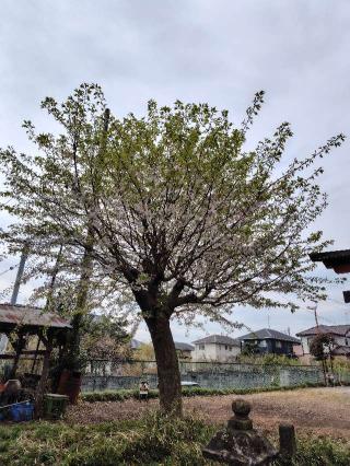 氷川神社（北本石戸氷川神社）の参拝記録(zx14rさん)