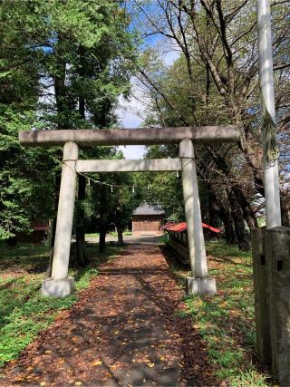 氷川神社の参拝記録(ぶーさん)