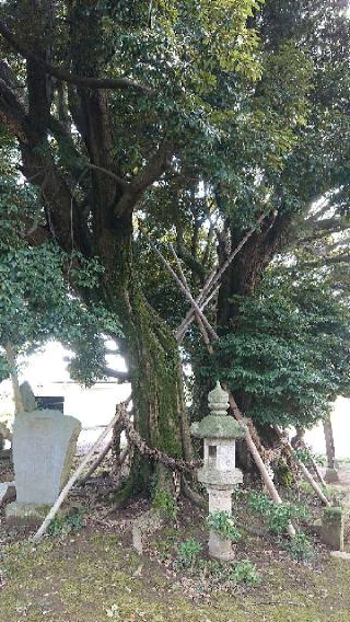 多気比売神社の参拝記録(グインさん)