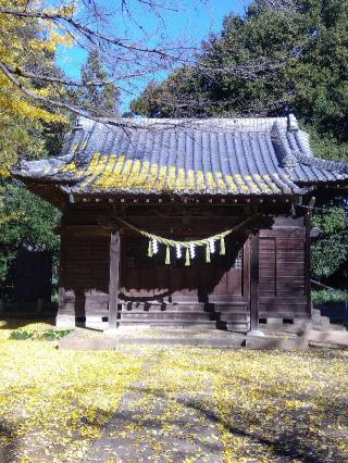 氷川諏訪神社の参拝記録(ブッチャーさん)