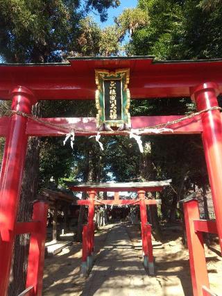 氷川神社の参拝記録(zx14rさん)