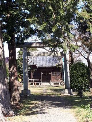 八幡神社（松原八幡神社）の参拝記録(SUNAさん)