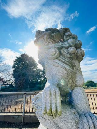 八幡神社（松原八幡神社）の参拝記録(shikigami_hさん)