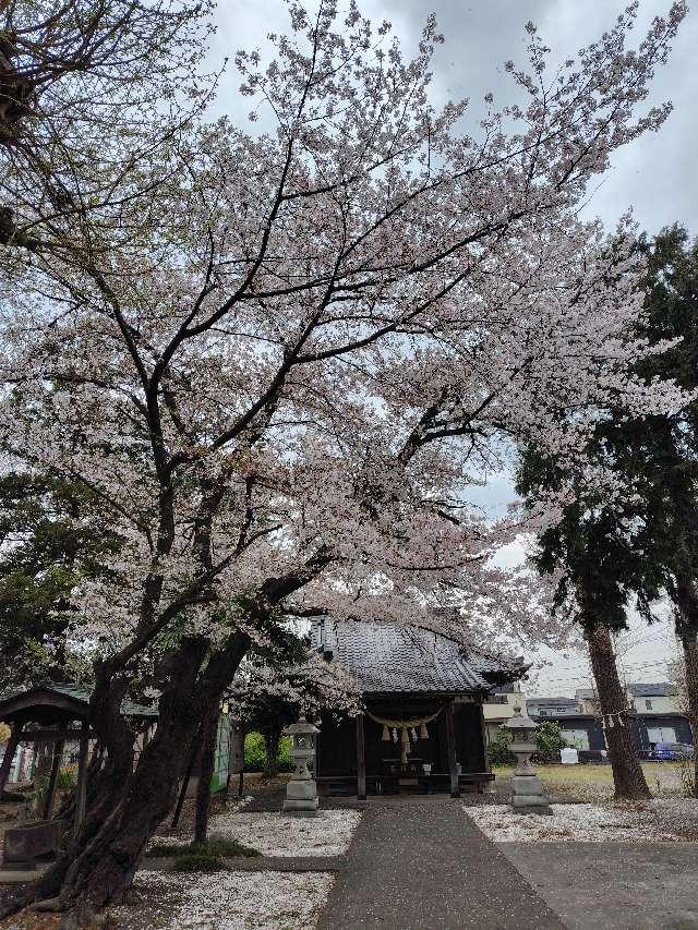 埼玉県桶川市神明1-1-33 諏訪雷電神社の写真3