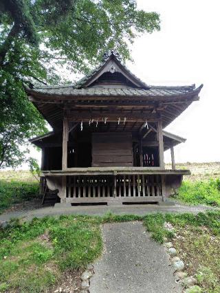 氷川神社の参拝記録(zx14rさん)