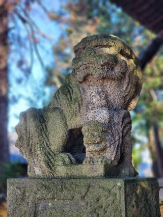 八幡神社（安養寺八幡神社）の参拝記録(たけちゃ～ん⚾さん)