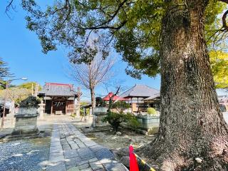 八幡神社（鴻巣市鎌塚）の参拝記録(shikigami_hさん)