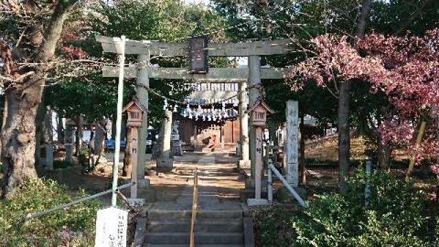 仙波氷川神社の参拝記録(ありさん)